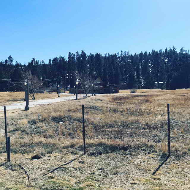Lake Drive-In - 2019 Photo (newer photo)